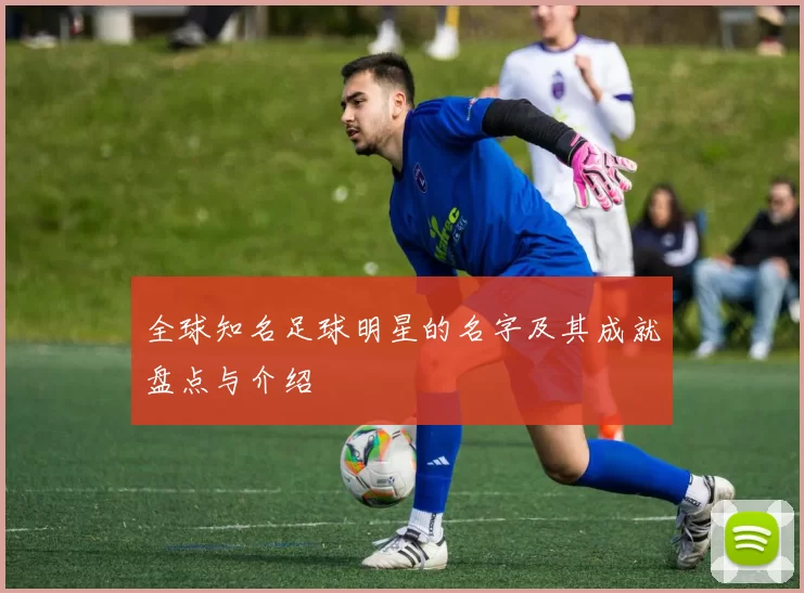 全球知名足球明星的名字及其成就盘点与介绍