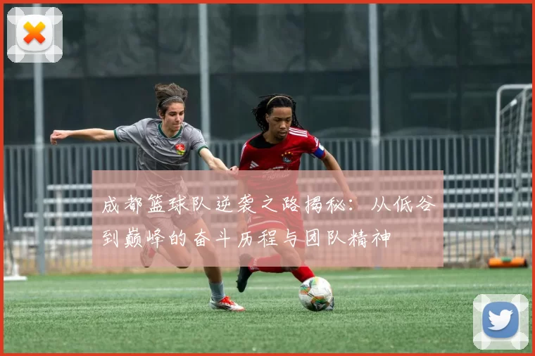 成都篮球队逆袭之路揭秘：从低谷到巅峰的奋斗历程与团队精神