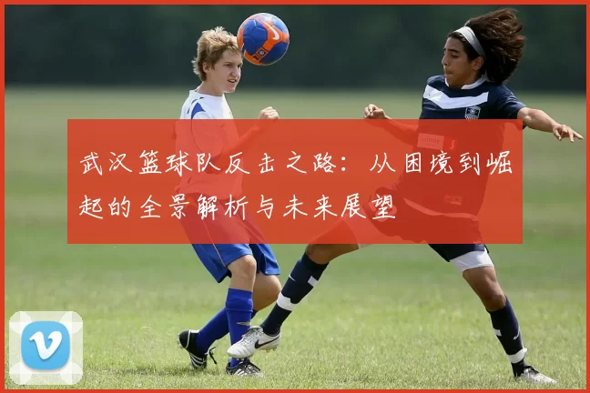 武汉篮球队反击之路：从困境到崛起的全景解析与未来展望