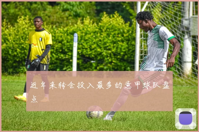 近年来转会投入最多的意甲球队盘点