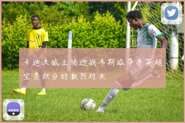 卡迪夫城主场迎战韦斯咸争夺英超宝贵积分的激烈对决