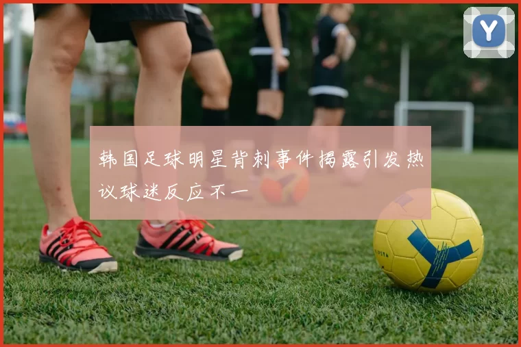 韩国足球明星背刺事件揭露引发热议球迷反应不一