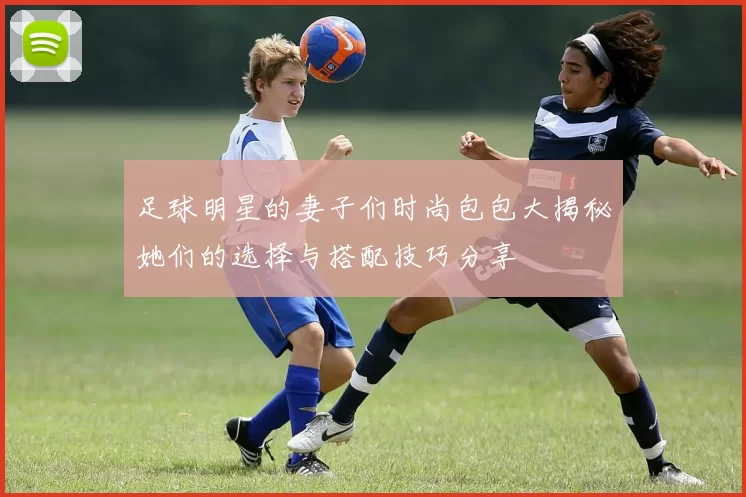 足球明星的妻子们时尚包包大揭秘她们的选择与搭配技巧分享