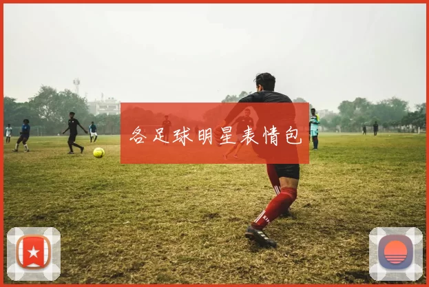 各足球明星表情包