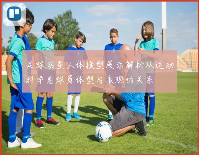 足球明星人体模型展示解析从运动科学看球员体型与表现的关系