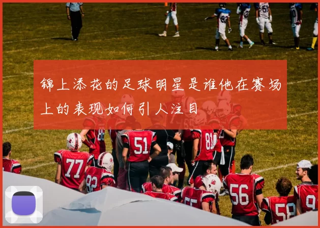 锦上添花的足球明星是谁他在赛场上的表现如何引人注目