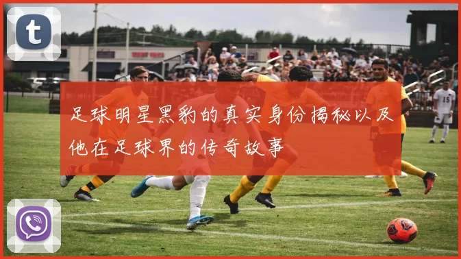 足球明星黑豹的真实身份揭秘以及他在足球界的传奇故事