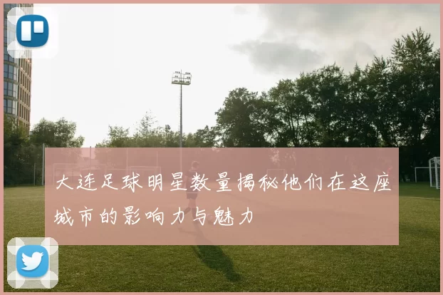 大连足球明星数量揭秘他们在这座城市的影响力与魅力
