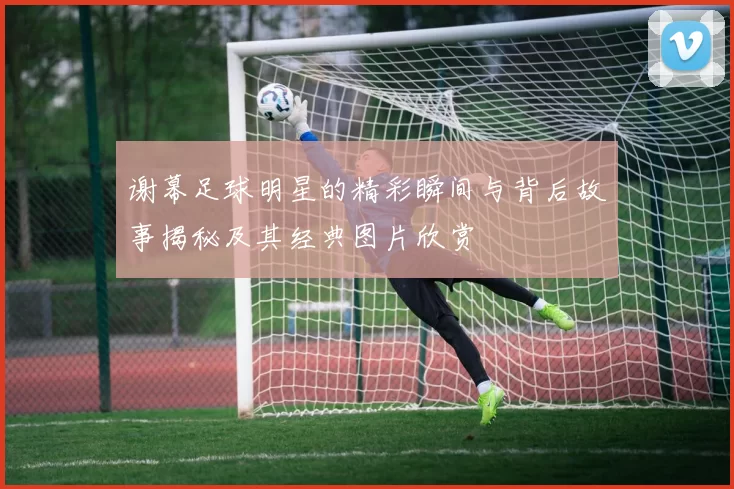 谢幕足球明星的精彩瞬间与背后故事揭秘及其经典图片欣赏