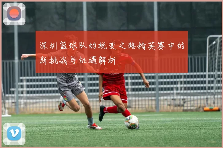 深圳篮球队的蜕变之路精英赛中的新挑战与机遇解析
