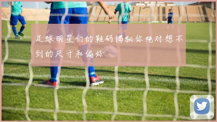 足球明星们的鞋码揭秘你绝对想不到的尺寸和偏好