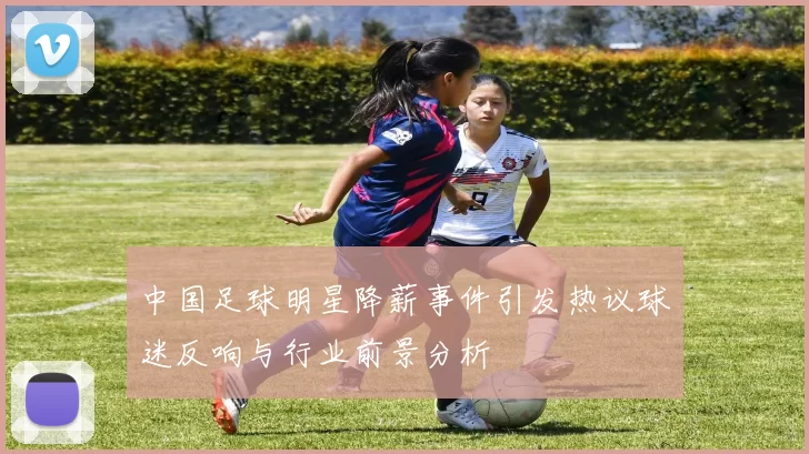 中国足球明星降薪事件引发热议球迷反响与行业前景分析