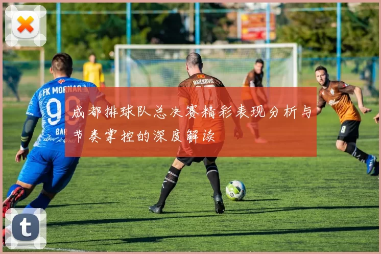 成都排球队总决赛精彩表现分析与节奏掌控的深度解读