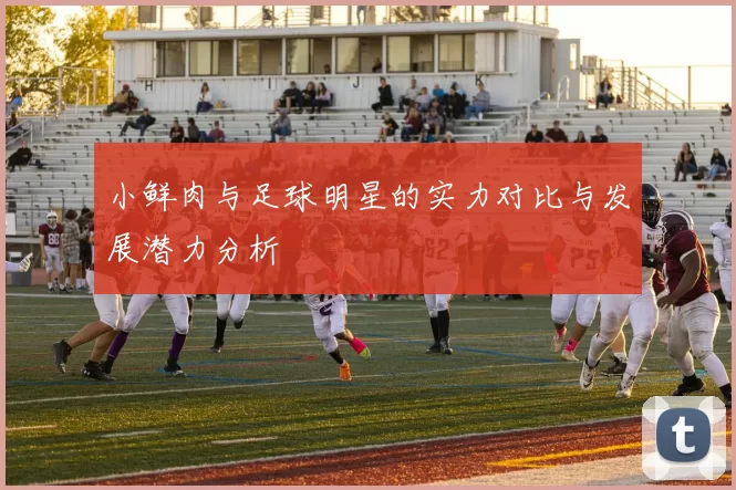 小鲜肉与足球明星的实力对比与发展潜力分析